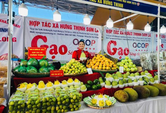 10 kết quả nổi bật hoạt động Liên minh HTX tỉnh nhiệm kỳ 2020-2025