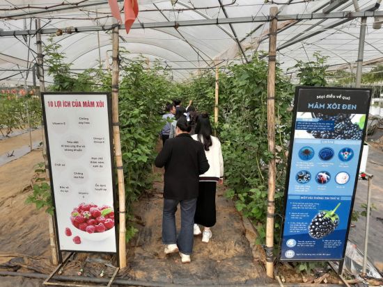 10 Kết quả nổi bật Liên minh HTX tỉnh năm 2025