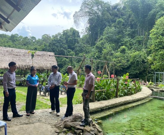 CÔNG TÁC KIỂM TRA TÌNH HÌNH HOẠT ĐỘNG CỦA CÁC HTX VAY VỐN TỪ QUỸ HỖ TRỢ PHÁT TRIỂN HTX TỈNH